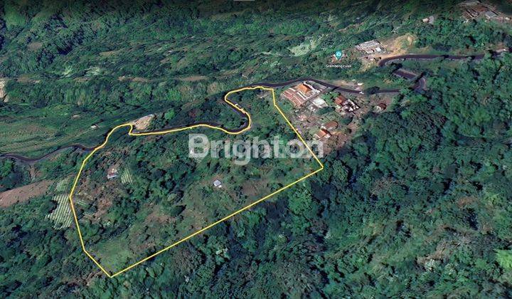 Tanah 175are (1, 75ha) di kintamani hadap gn batur 1