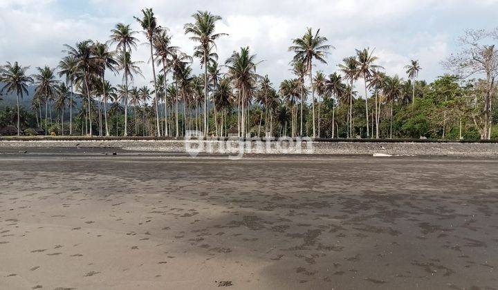 Land 292 Are Or 29,200m2 In West Selemadeg Bali 2