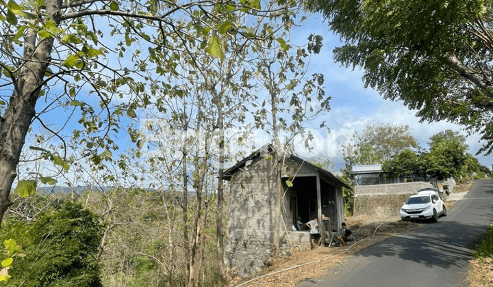 Lahan Downslope Di Buleleng - Bali Dengan View Pantai Lovina 1