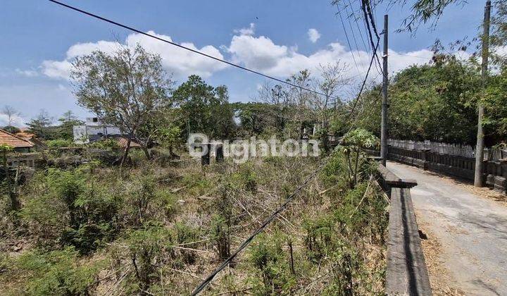 Tanah 20 are pinggir jalan raya Uluwatu Bali Leasehold 2