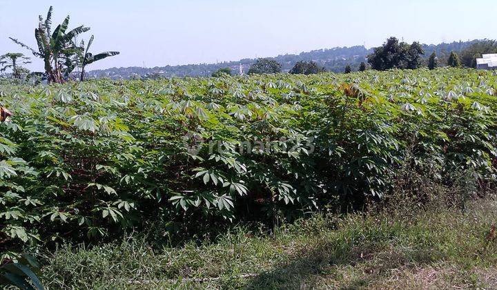 di Jual Tanah Kebun Subur di Tapos Cibedug Kecamatan Ciawi 1