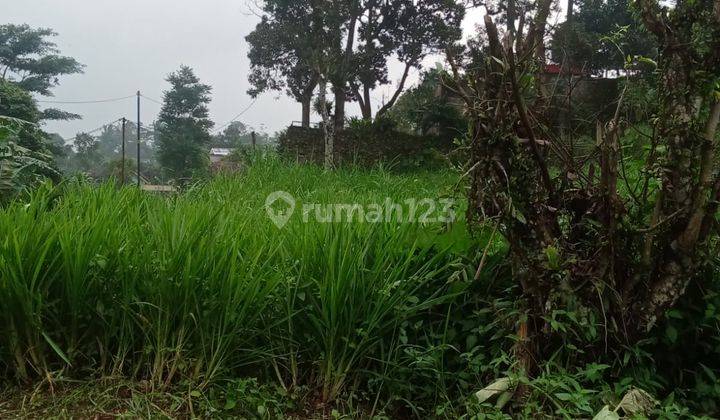 Di Jual Lahan Kebun Cocok Untuk Villa Di Lido Bocimi Cigombong 2