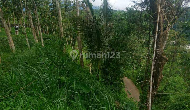 Tanahdi Jual Lahan Cakep View Gunung Dekat Kopi Daong di Pancawati 2