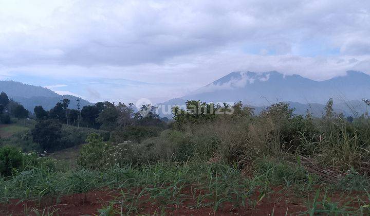 Di Jual Tanah Kebun Di Mariwati Sukaresmi Cipanas Cianjur 2