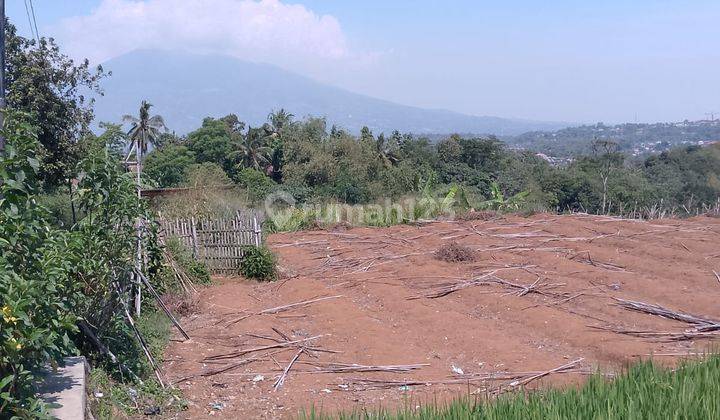 di Jual Tanah Sawah Produktif Dan Kebun di Cibedug Tapos Kecamatan Ciawi  2