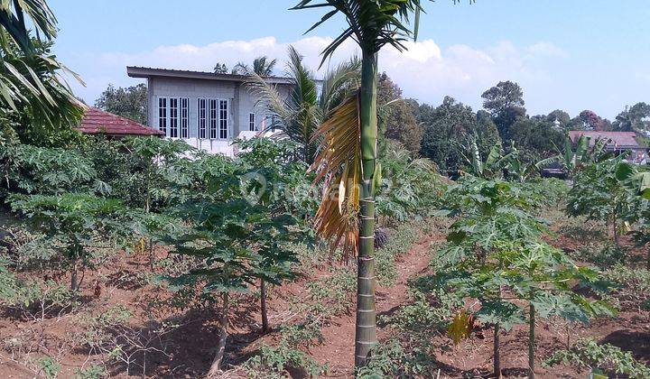 di Jual Tanah Kebun di Cimande Caringin 2