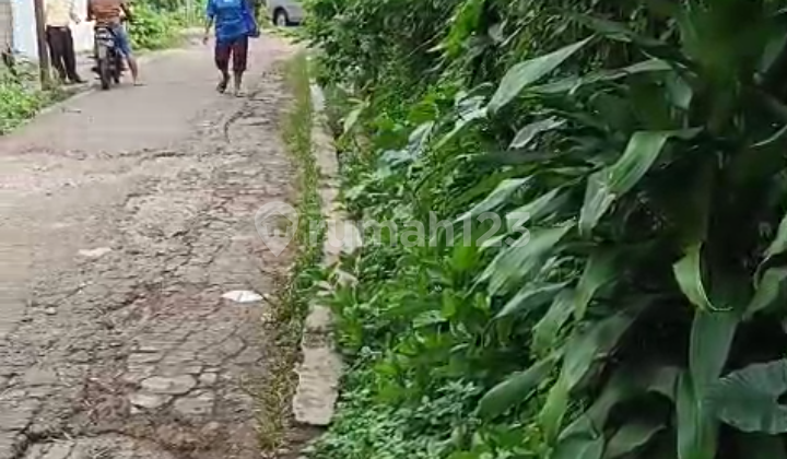 Di Jual Lahan untuk Bangun Rumah di Keranggan Gunung Putri Di Jual Lahan untuk Bangun Rumah di Keranggan Gunung Putri