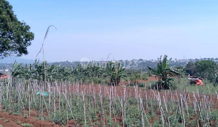 di Jual Tanah Kebun Masih Murah View Gunung di Tapos Kecamatan Ciawi  2