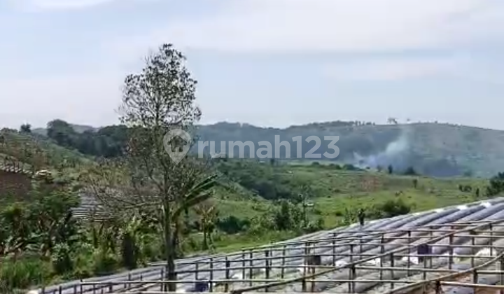 Di Jual Lahan Perkebunan/Pertanian Superakses Mobil di Cipanas Cianjur Di Jual Lahan Perkebunan/Pertanian Superakses Mobil di Cipanas Cianjur