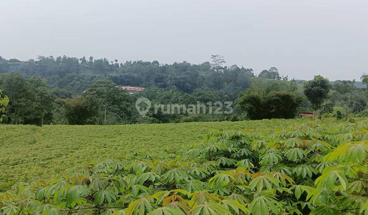 Di Jual Tanah Kebun Subur 1 Hamparan View Gunung Di Cibadak Sukabumi 1