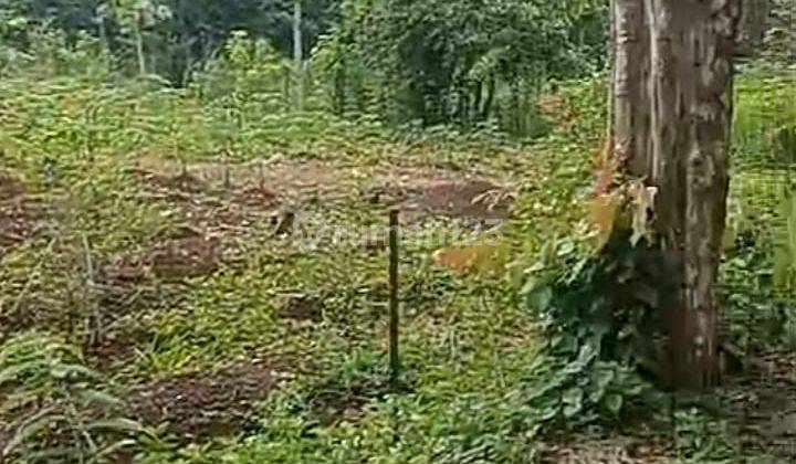 Di Jual Lahan Untuk Industri Di Kalijati Subang 2