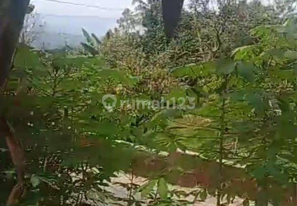 di Jual Tanah Kebun di Cijeruk 2