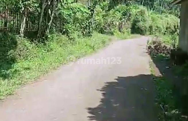 Di Jual Lahan Kebun Cocok Untuk Villa Di Lido Bocimi Cigombong 1