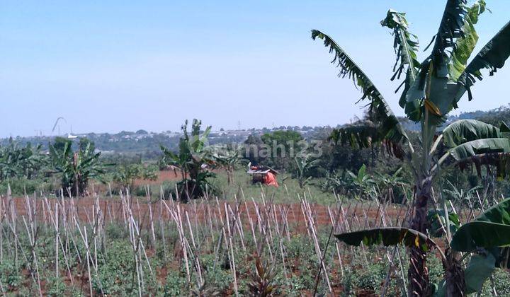 di Jual Tanah Kebun Masih Murah View Gunung di Tapos Kecamatan Ciawi  1