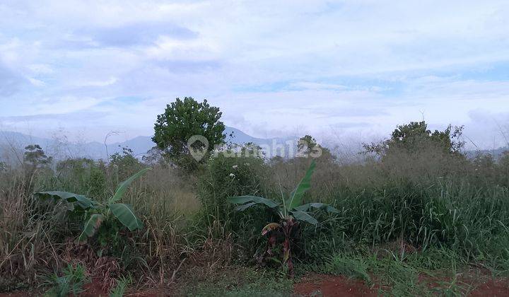 Di Jual Tanah Kebun Di Mariwati Sukaresmi Cipanas Cianjur 1