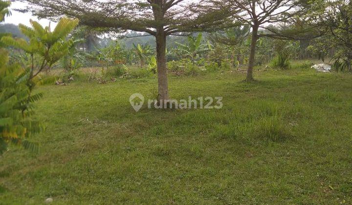 di Jual Tanah Kebun Siap Bangun di Tangkil Caringin 1