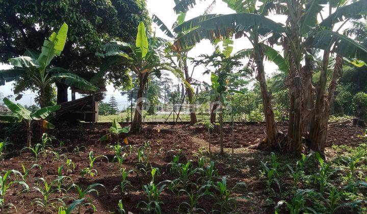 di Jual Lahan View Gunung Akses Besar di Cigombong 1