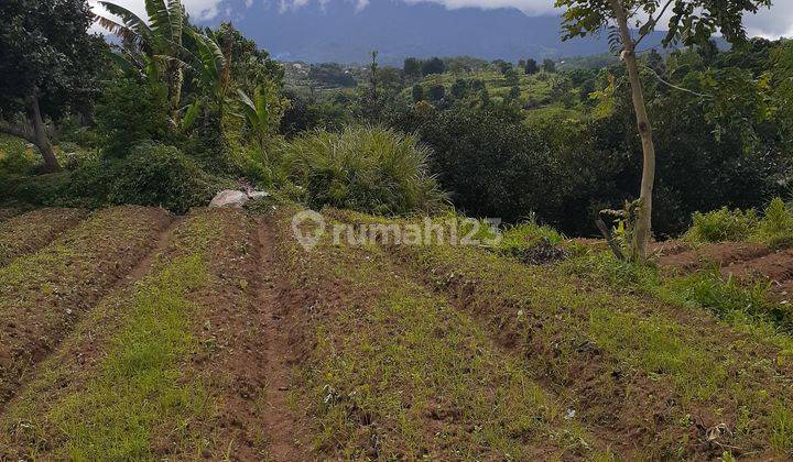 di Jual Lahan Siap Bangun View Gunung di Sukagalih Megamendung 2