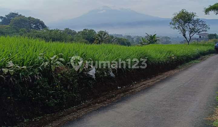 Di Jual Lahan Best View Di Cicurug Sukabumi Di Jual Lahan Best View Di Cicurug Sukabumi