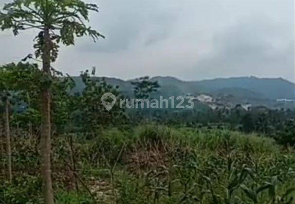 Di Jual Lahan/tanah Kebun Subur Ada Mata Air Di Cibadak Sukabumi 1
