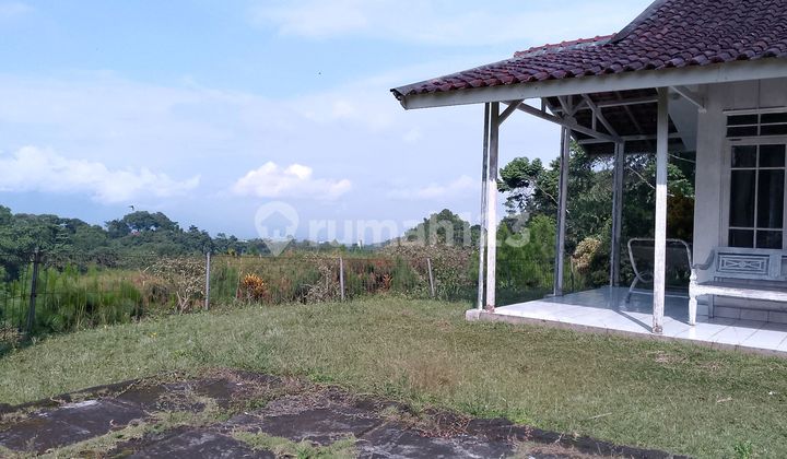 Di Jual Lahan View Lepas Murah di Megamendung Di Jual Lahan View Lepas Murah di Megamendung