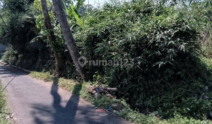 di Jual Tanah Kebun Air Melimpah di Tapos Cibedug Kecamatan Ciawi  2