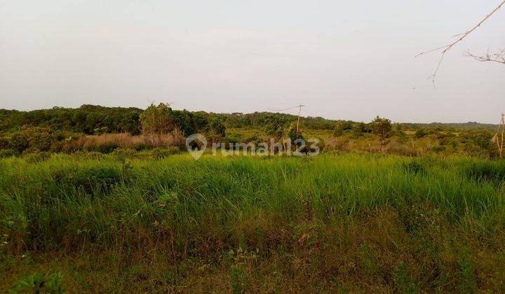 Di Jual Kebun Murah Di Cimangu Pandeglang 1