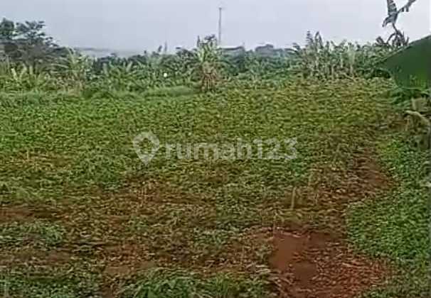 Di Jual Tanah Kebun Subur di Dekat Lido Cigombong Di Jual Tanah Kebun Subur di Dekat Lido Cigombong