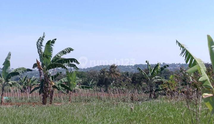 di Jual Tanah Kebun Murah View Gunung di Tapos Kecamatan Ciawi  2