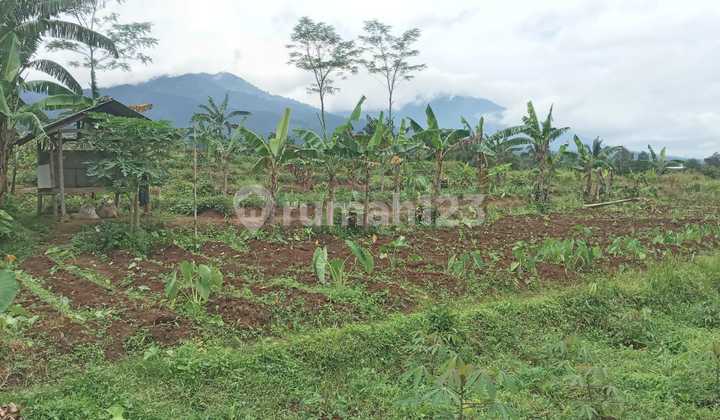 For Sale 1 Plot of Garden Land with Hill View in Parakan Salak, Sukabumi