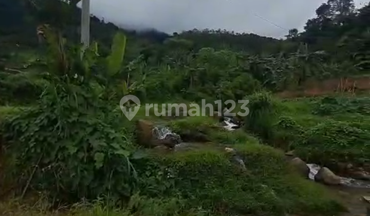 Di Jual Lahan Air Melimpah Akses Mobil di Jl Puncak 2 Sukamakmur Bogor