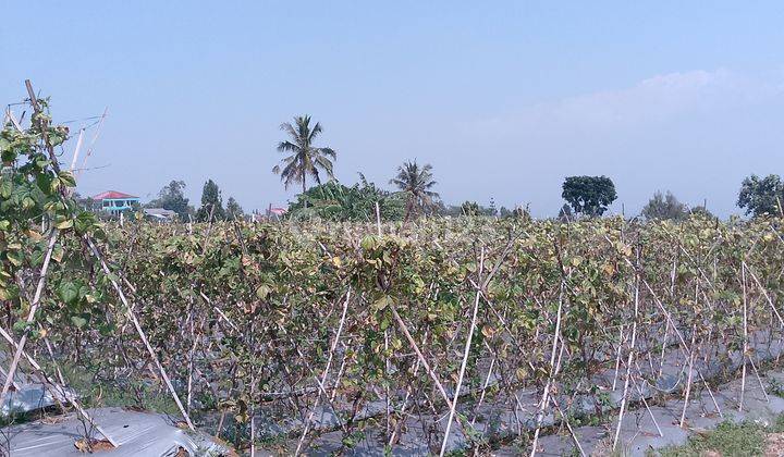 di Jual Lahan View Gunung di Pancawati Caringin 2