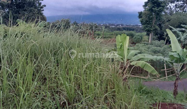 Di Jual Lahan Kebun Subur View Gunung Di Citapen Ciawi 1