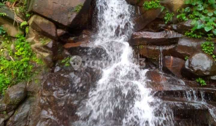 Di Jual Lahan SHM dengan Air Melimpah di Tamansari Ciapus Bogor