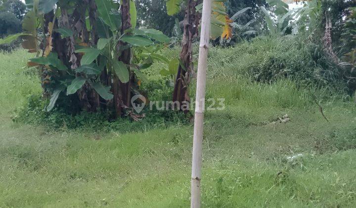 Di Jual Lahan Kebun Subur Bisa Bangun Villa Di Citapen Ciawi 2