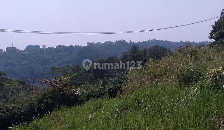 di jual lahan view pegunungan sejuk di Pancawati caringin 1