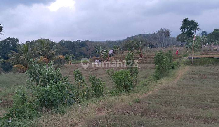 di Jual Lahan Perkebunan Murah di Tapos Ciawi 1