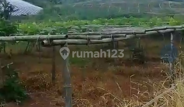 Di Jual Tanah Untuk Pertanian/peternakan Di Takokak Cianjur