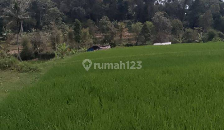 di jual lahan air melimpah/ cocok untuk villa di pancawati 1