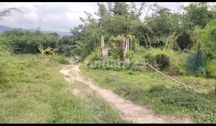 Di Jual Lahan Kebun SHM di Leuwisadeng Bogor Barat