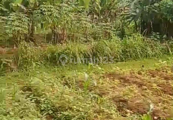 di Jual Tanah Kebun di Cijeruk 1