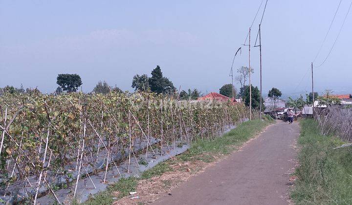 di Jual Lahan View Gunung di Pancawati Caringin 1