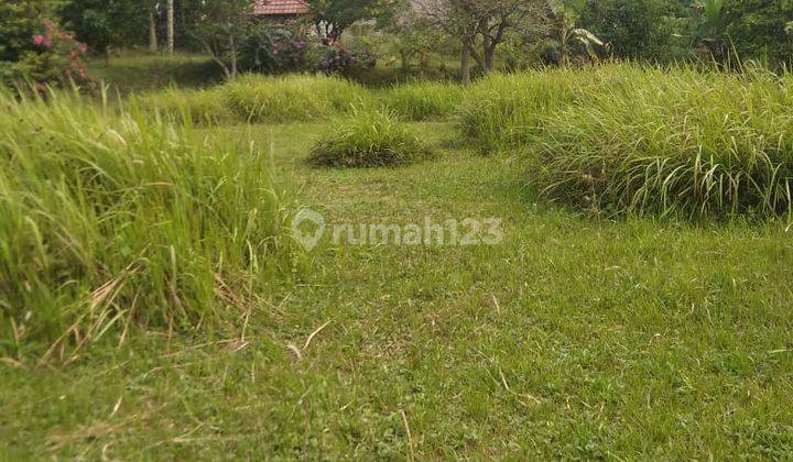 di Jual Tanah Kebun Siap Bangun di Tangkil Caringin 2