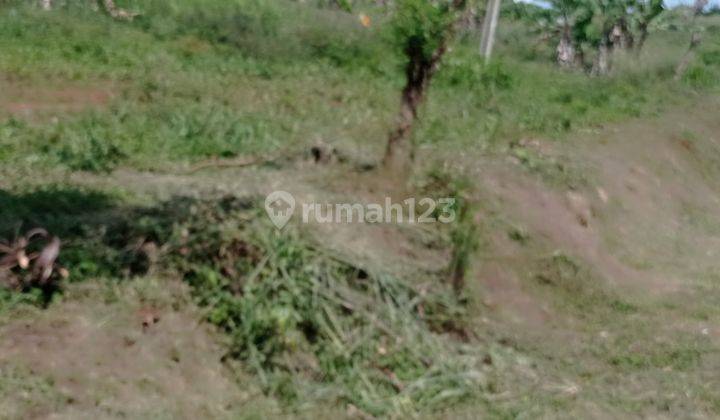 Di Jual Tanah Kebun Di Sukaresmi Cipanas Cianjur 1