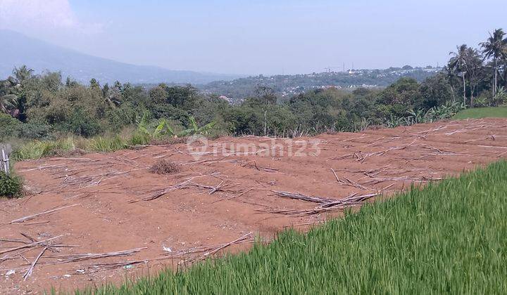 di Jual Tanah Sawah Produktif Dan Kebun di Cibedug Tapos Kecamatan Ciawi  1