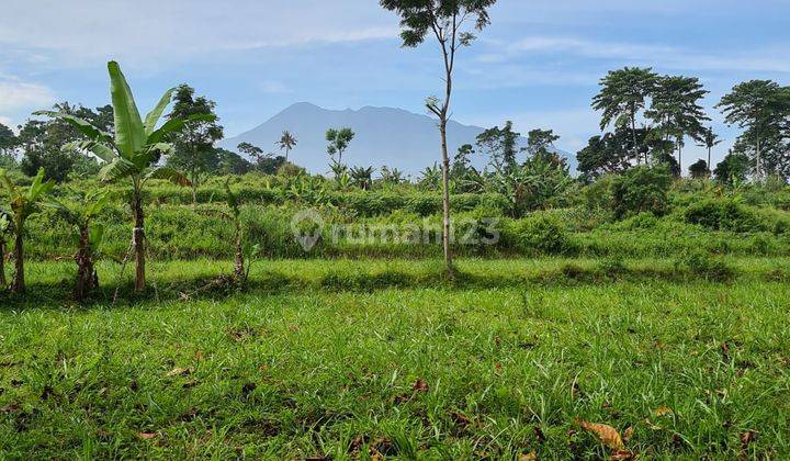 Di Jual Lahan Untuk Villa View Gunung Di Megamendung 1