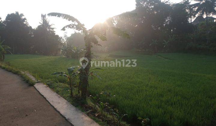 di Jual Tanah Sawah Produktif Dan Air Melimpah di Caringin 2