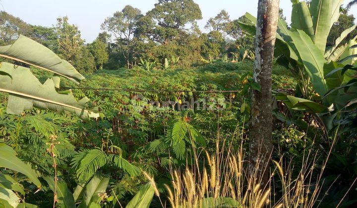 di jual lahan cocok untuk villa di gunung geulis 2