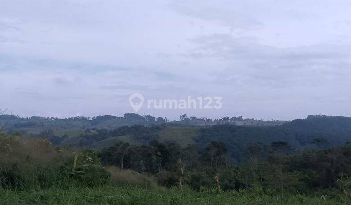 Di Jual Lahan Perkebunan Subur View Perbukitan Di Mariwati Sukaresmi Cipanas 2