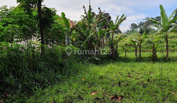 Di Jual Lahan Untuk Villa View Gunung Di Megamendung 2